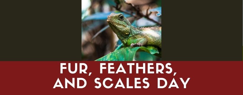 Fur, Feathers, and Scales Day