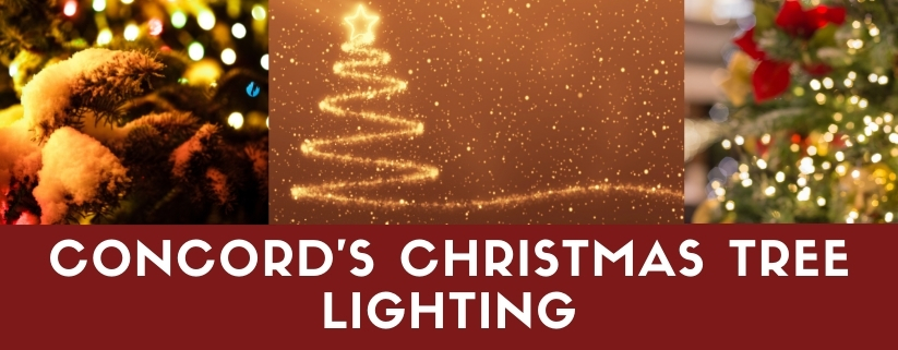 Concord's Christmas Tree Lighting