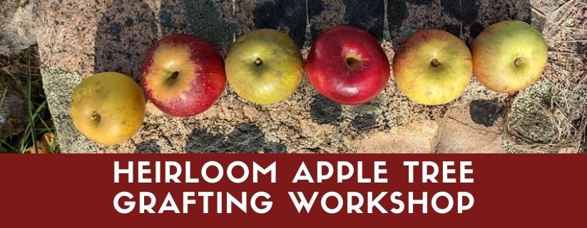 Heirloom Apple Tree Grafting Workshop