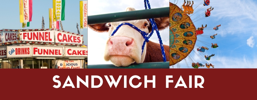 Sandwich Fair