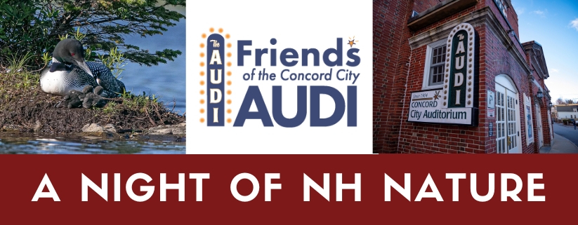 A Night of NH Nature