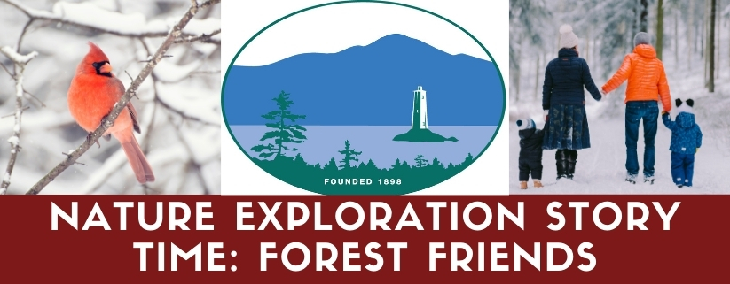 Nature Exploration Story Time - Forest Friends