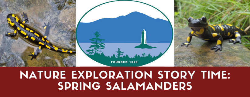 Nature Exploration Story Time - Spring Salamanders