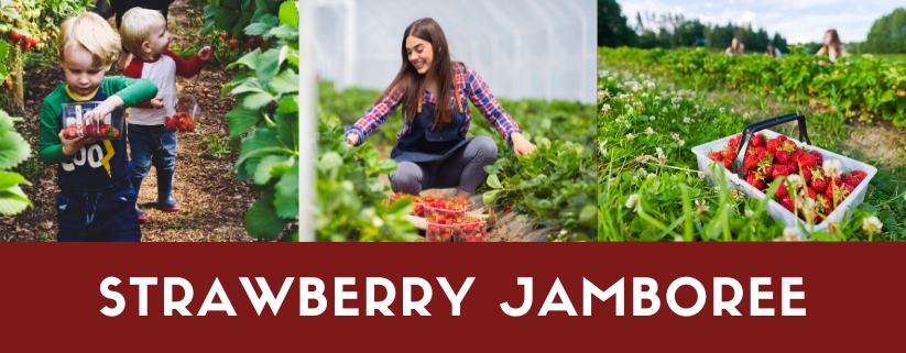 Strawberry Jamboree