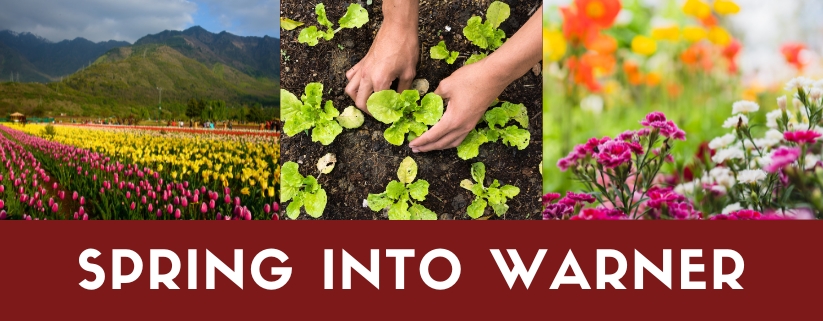 Spring Into Warner