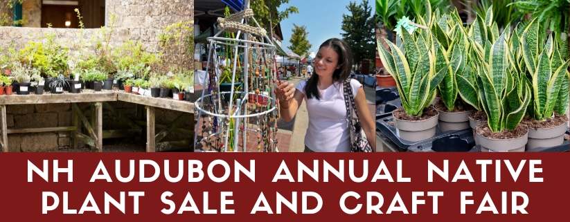 NH Audubon Annual Native Plant Sale and Craft Fair