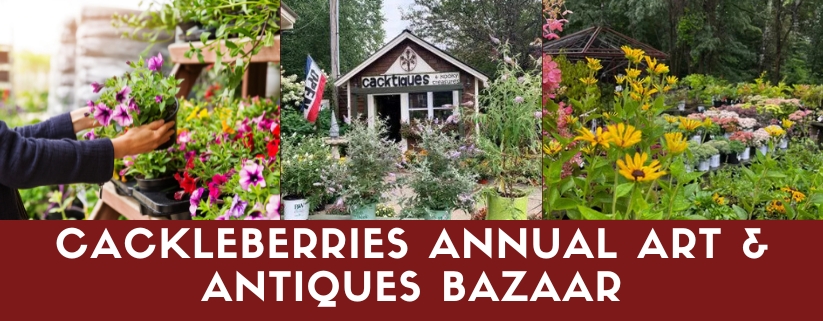 Cackleberries Annual Art & Antiques Bazaar