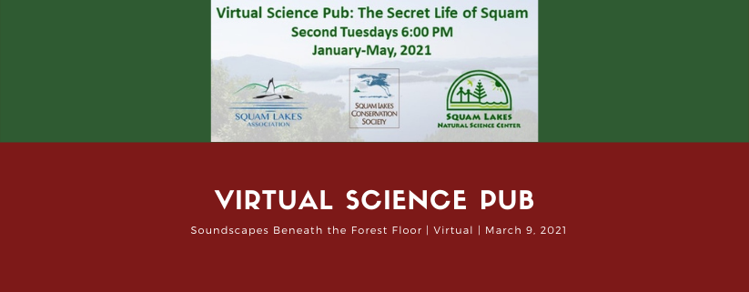 Science Pub: Soundscapes Beneath the Forest Floor- Soil, Water, & Rock Interactions