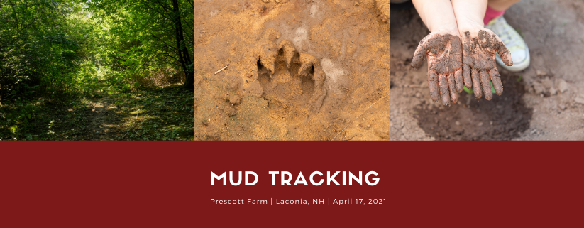 Mud Tracking