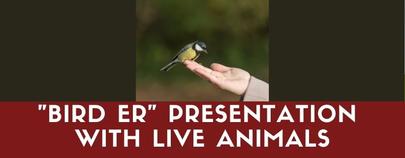 VINS - "Bird ER" Presentation with Live Animals