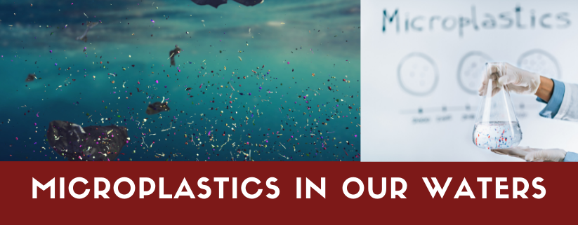 Microplastics In Our Waters