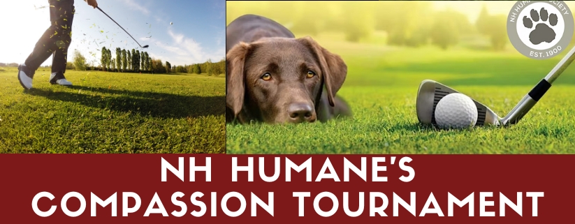 NH Humane's Compassion Tournament