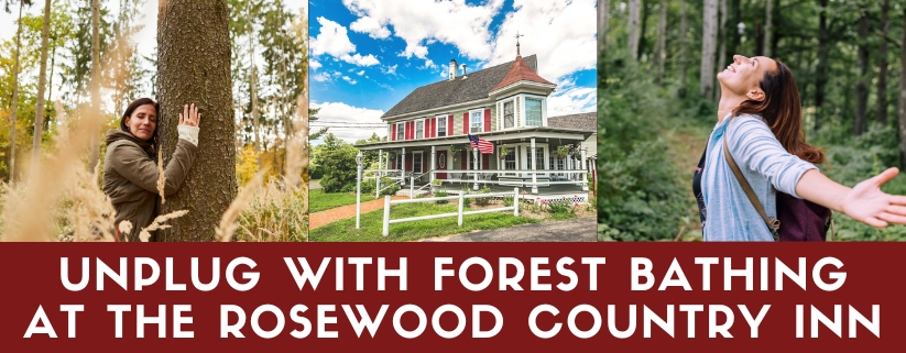 Relax and Recharge: Unplug with Forest Bathing at The Rosewood Country Inn