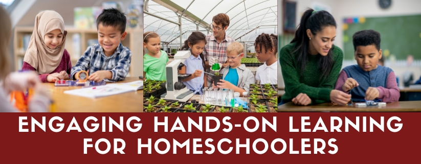 Engaging Hands-On Learning for Homeschoolers
