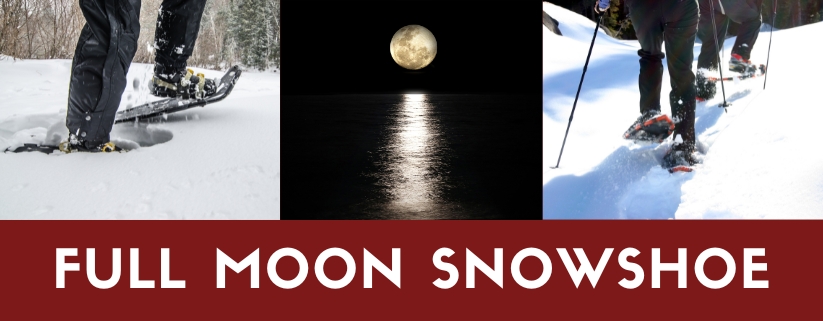 Full Moon Snowshoe