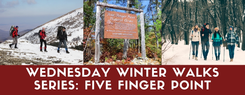 Wednesday Winter Walks Series: Five Finger Point
