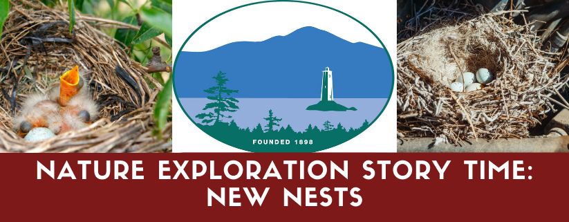 Nature Exploration Story Time - New Nests