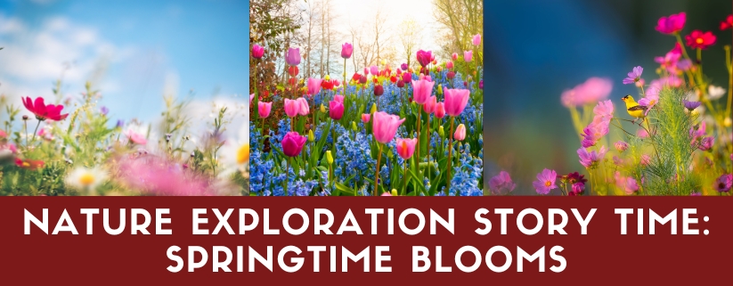 Nature Exploration Story Time - Springtime Blooms