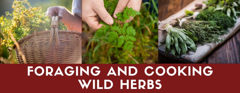 Foraging and Cooking Wild Herbs