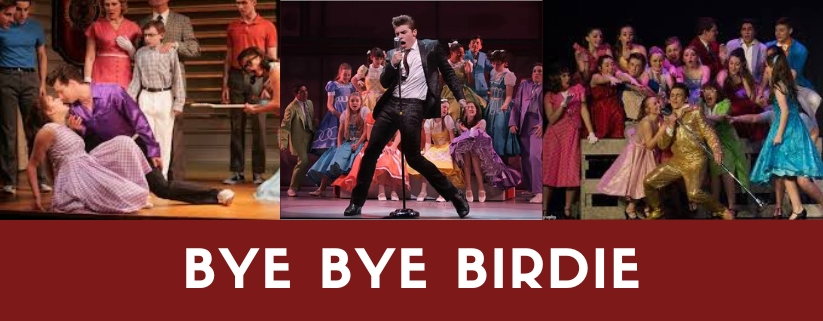 Bye Bye Birdie