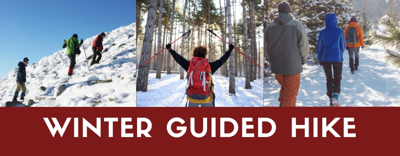 Winter Guided Hike