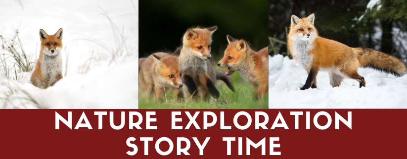 Nature Exploration Story Time - Red Fox Running