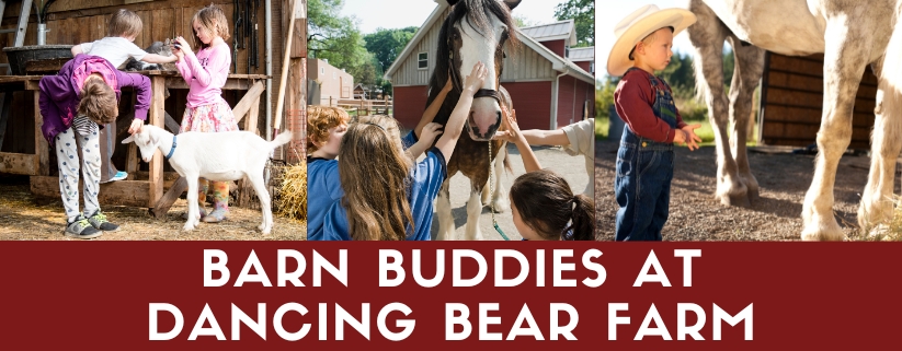 Barn Buddies at Dancing Bear Farm