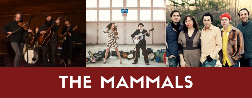 The Mammals