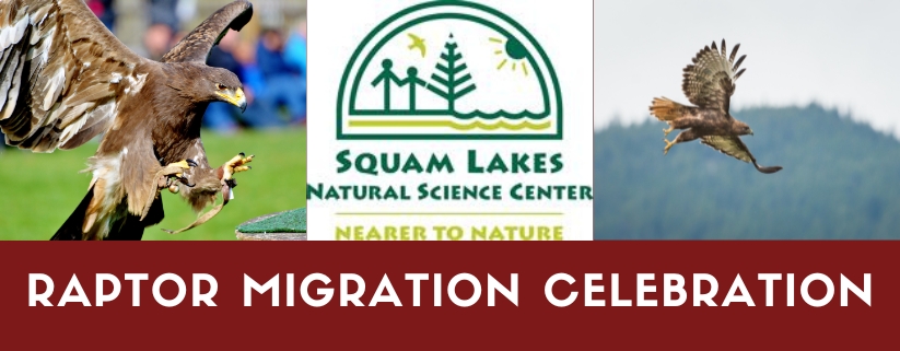 Raptor Migration Celebration